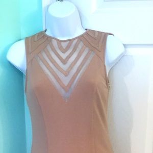 NWT Pale pink body con mid length dress xs